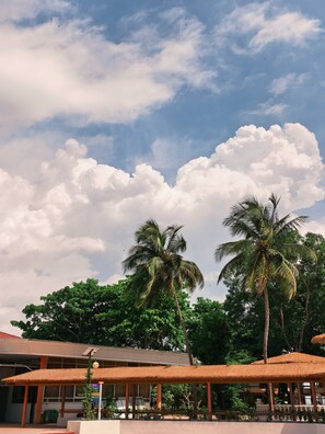 Quang cảnh nhìn từ nơi lưu trú