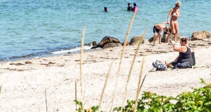 6 Person Holiday Park Home in Otterup