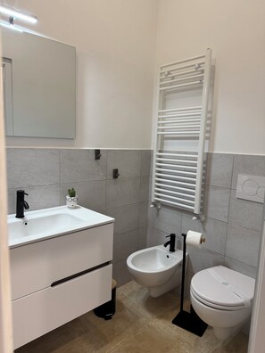 Shower, hair dryer, bidet, towels