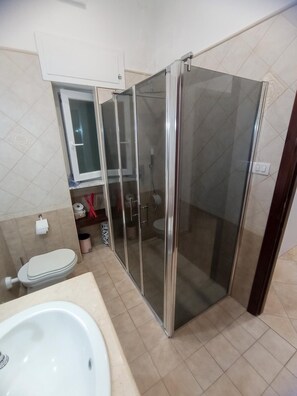 Shower, hair dryer, bidet, towels