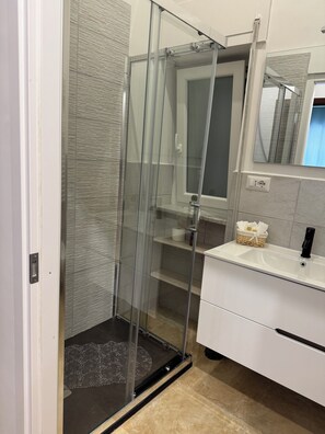 Shower, hair dryer, bidet, towels