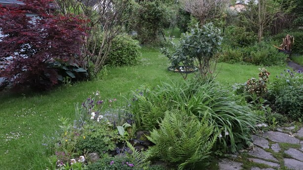 A lush garden with various plants and a stone pathway.