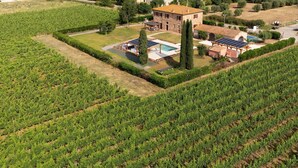 Viñedo con hileras de vides, una casa con piscina y paneles solares.