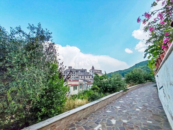 A stone-paved pathway leading to a historic building with a tower, surrounded by greenery and a clear sky.