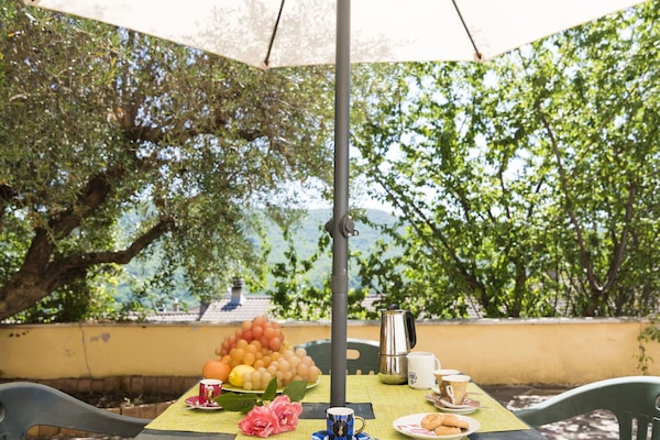 Schatten, Balkon, Zimmerpflanze, Blumentopf