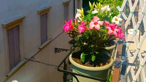 En balkon med en potteplante og blomster.