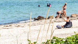 Une plage où l’on peut se baigner et prendre des bains de soleil.
