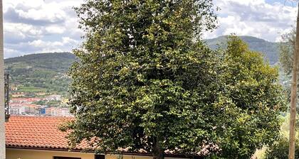 Nomad s Country - Cimo de Vila The Garden House