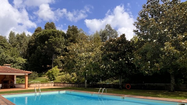 Una piscina rectangular con borde de baldosas, rodeada por un muro de piedra y abundante vegetación.