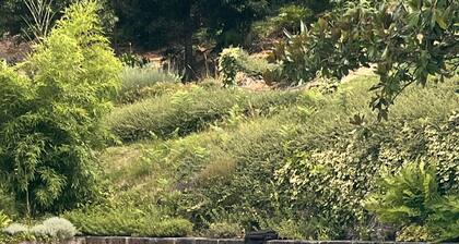 Nomad s Country - Cimo de Vila The Quiet Veranda