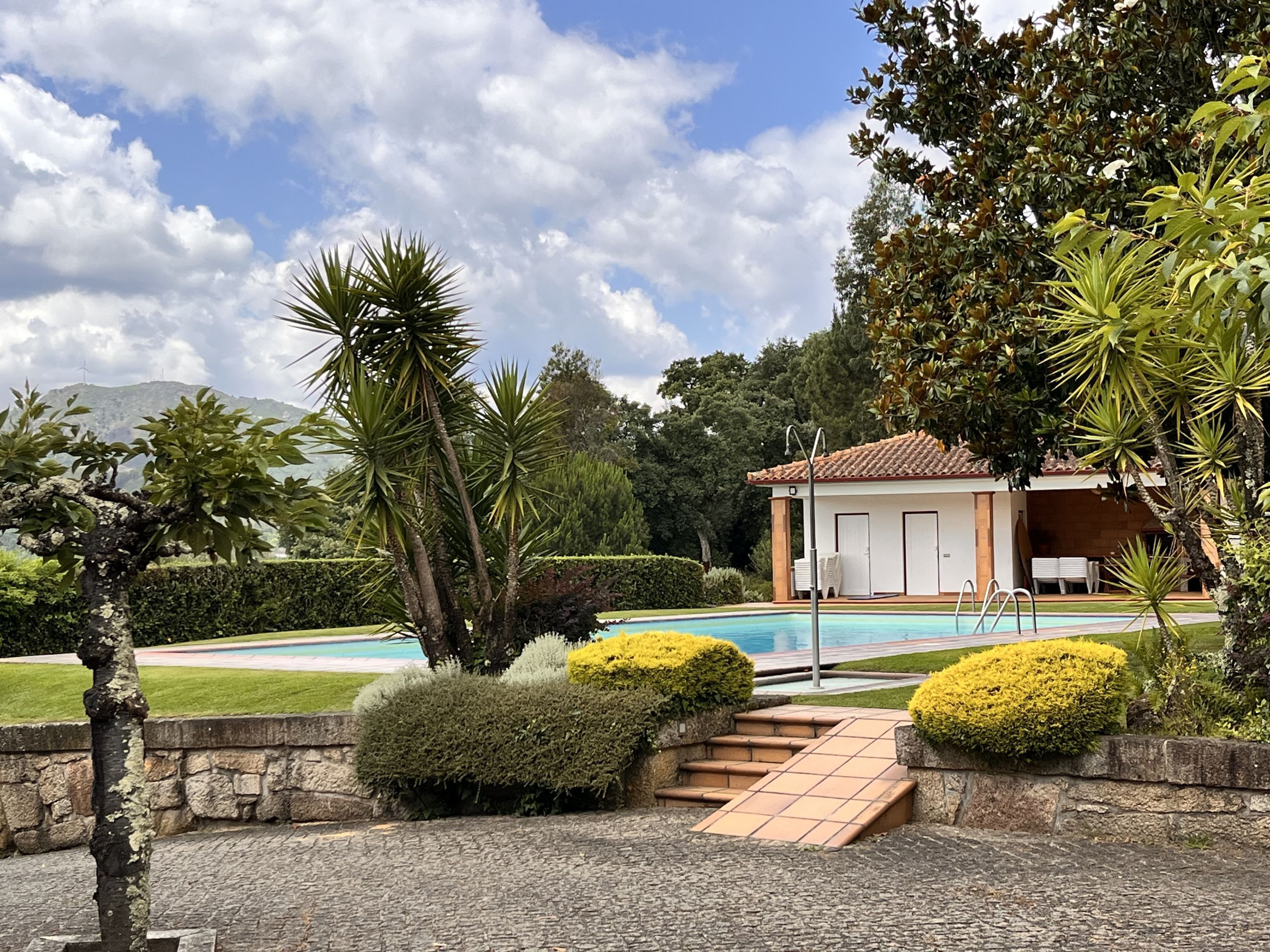 Apartment | 1 bedroom