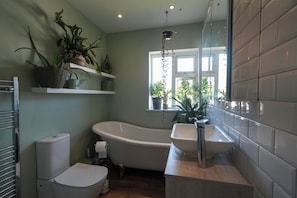 Shower, hair dryer