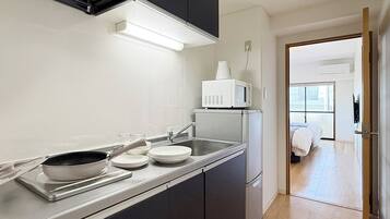 Panoramic Studio, Balcony, River View | Private kitchenette | Fridge, microwave, stovetop, electric kettle