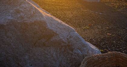 . Peaceful, Clean & Pet-Friendly Suites Near Nature & Amenities – Comox Valley