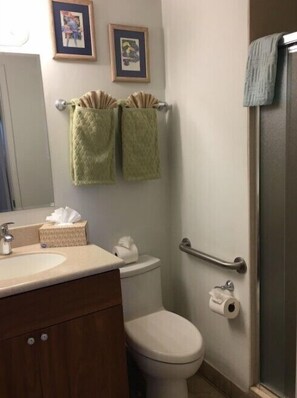 Shower, hair dryer, towels