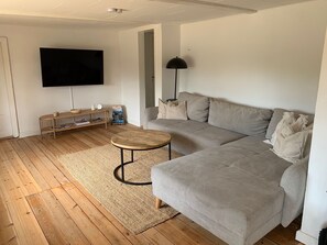 Smart TV, fireplace, video games, books