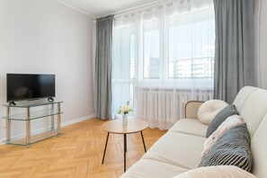 Fernseher, Arbeitsbereiche