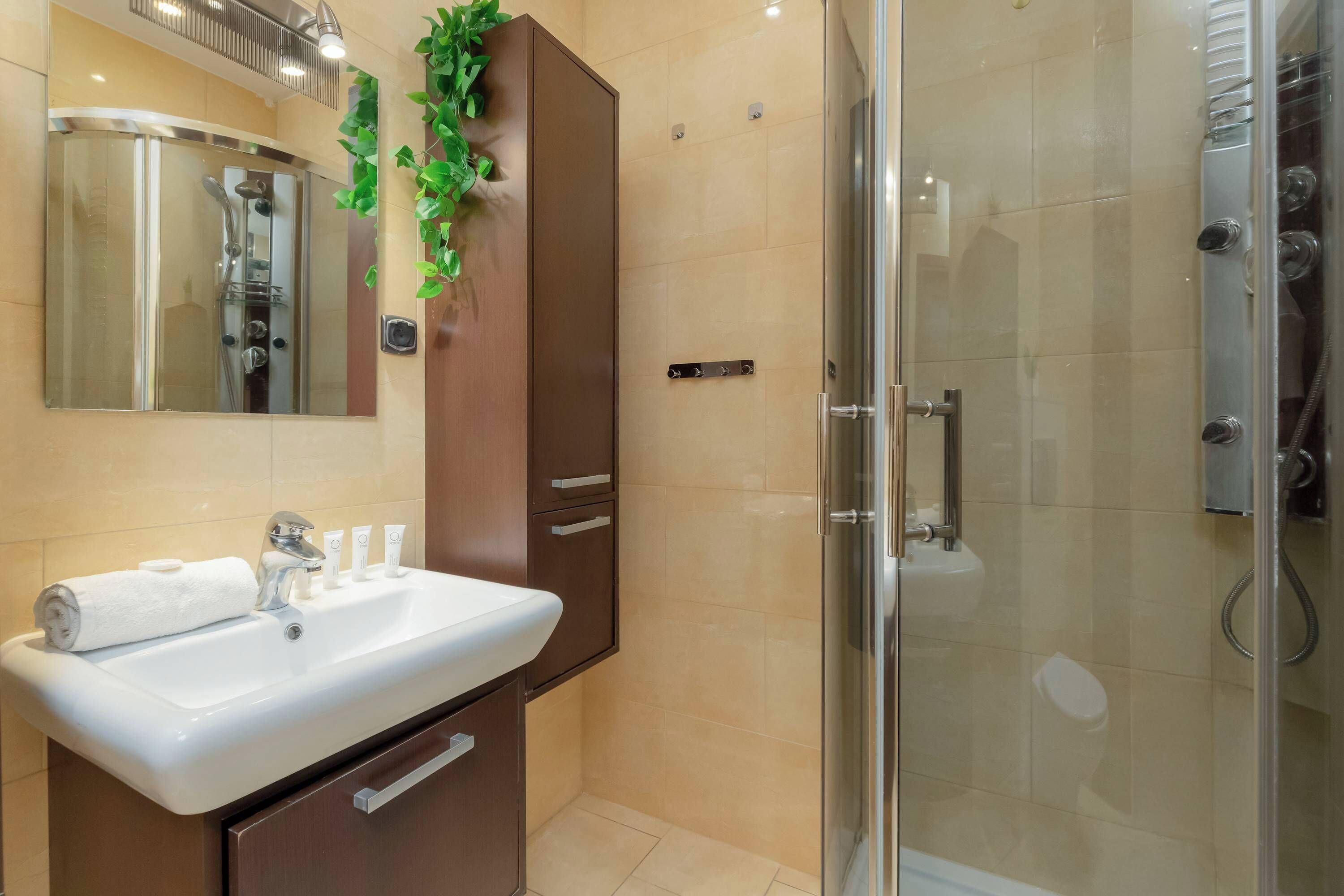 Dusche, Haartrockner, Handtücher, Shampoo