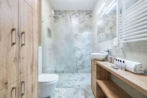 Shower, hair dryer, towels, shampoo