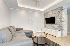 Fernseher, Arbeitsbereiche