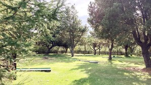 A grassy outdoor area with trees and a wooden bench. - 6 Person Holiday Park Home in Pandrup (Pandrup)