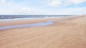 A beach with a sandy shore and tire tracks leading to the water. - 6 Person Holiday Park Home in Pandrup (Pandrup)