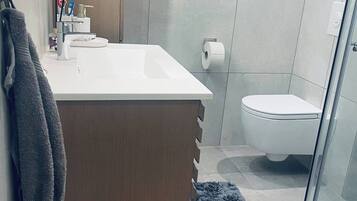 Shower, hair dryer, bidet, towels