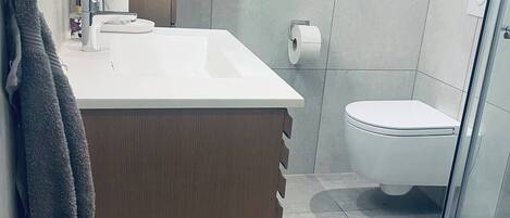 Shower, hair dryer, bidet, towels
