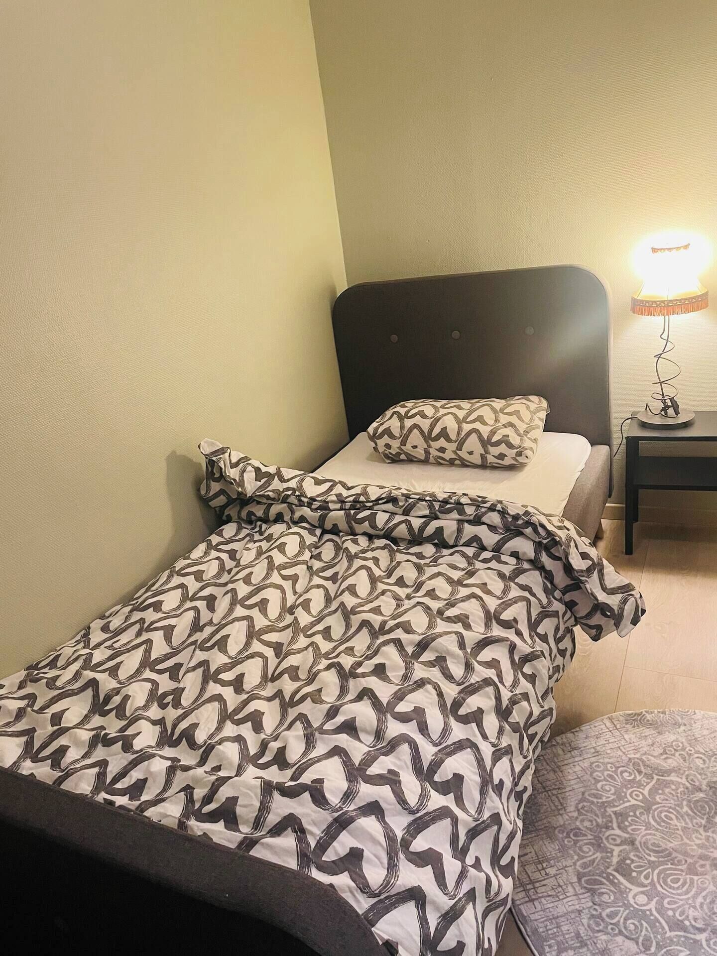 Una cama individual con una colcha estampada, un almohadón y una lámpara de noche.