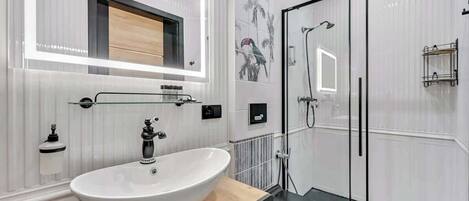 Shower, hair dryer, towels