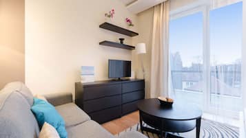 Fernseher, Arbeitsbereiche