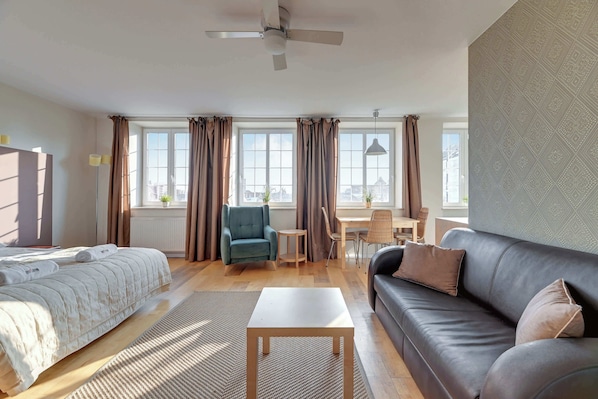 Fernseher, Arbeitsbereiche