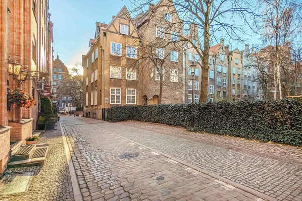 A cobblestone street lined with historic buildings, a hedge, and a clear sky.