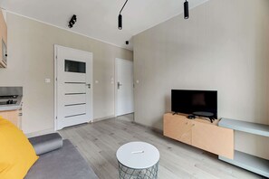 Fernseher, Arbeitsbereiche