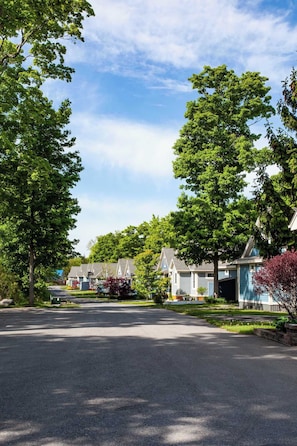 A residential street with houses, trees, and a clear sky. - The Catbird - 28 Butternut (Prince Edward)
