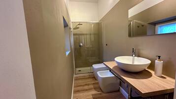Shower, hair dryer, bidet, towels