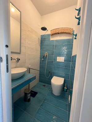 Shower, hair dryer, bidet, towels