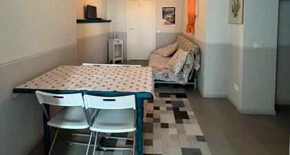 Cozy three-room apartment, pets allowed, beautiful sea view.