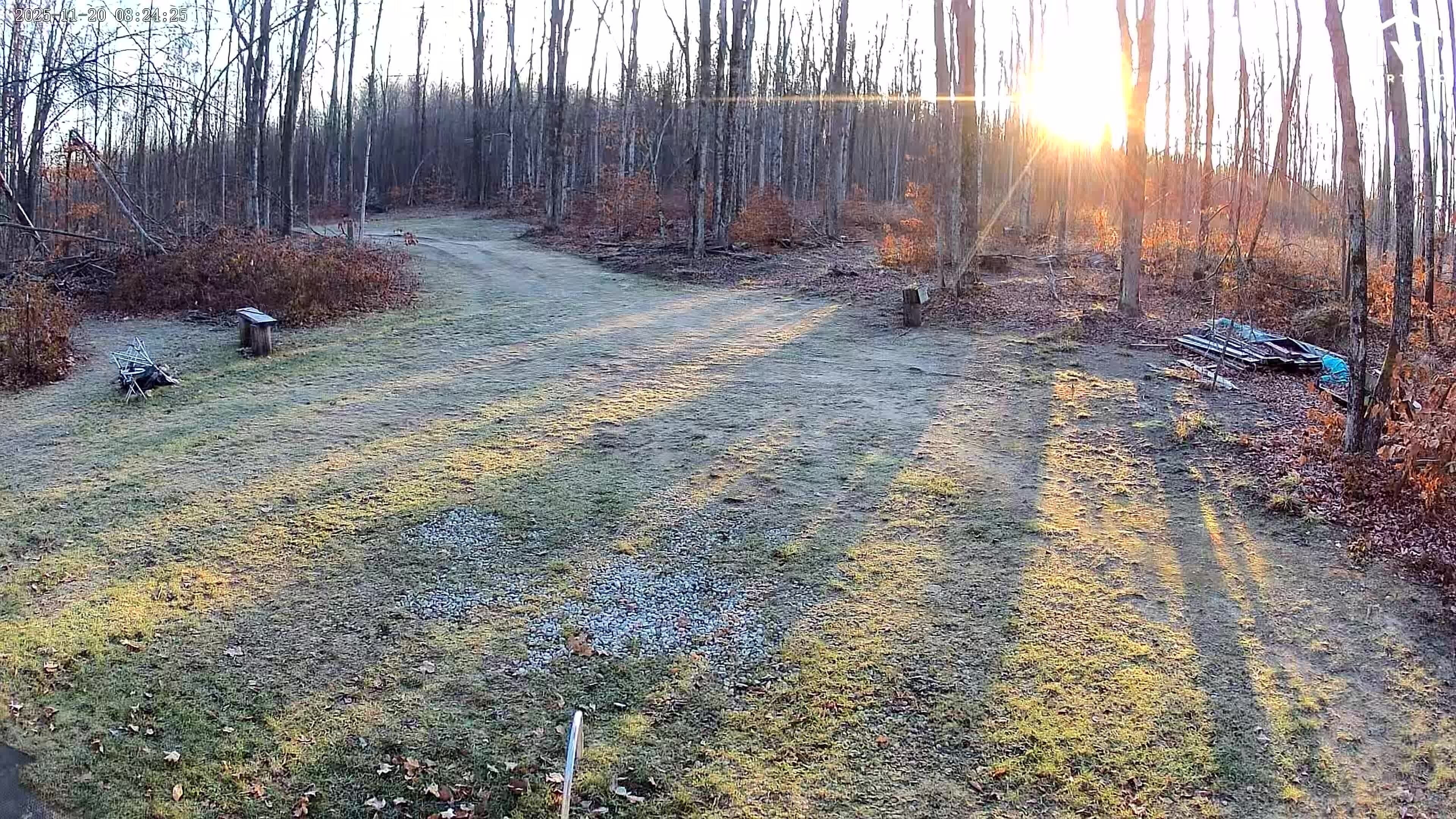 A forested area with a dirt path.