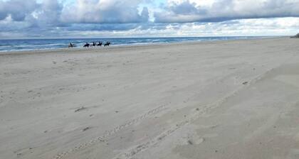 6 Person Holiday Park Home in Pandrup