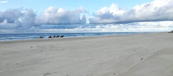 6 Person Holiday Park Home in Pandrup