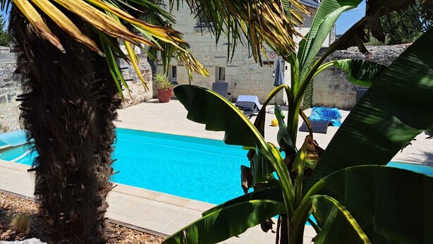 A swimming pool surrounded by palm trees and a stone wall. - Toucan, 25m² air-conditioned room on first floor, separate entrance (Les Ulmes)