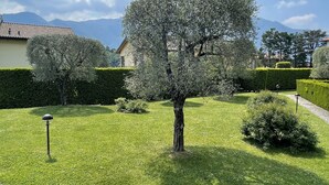 A well-maintained garden with a prominent tree, neatly trimmed hedges, and a clear view of a mountain range in the background.