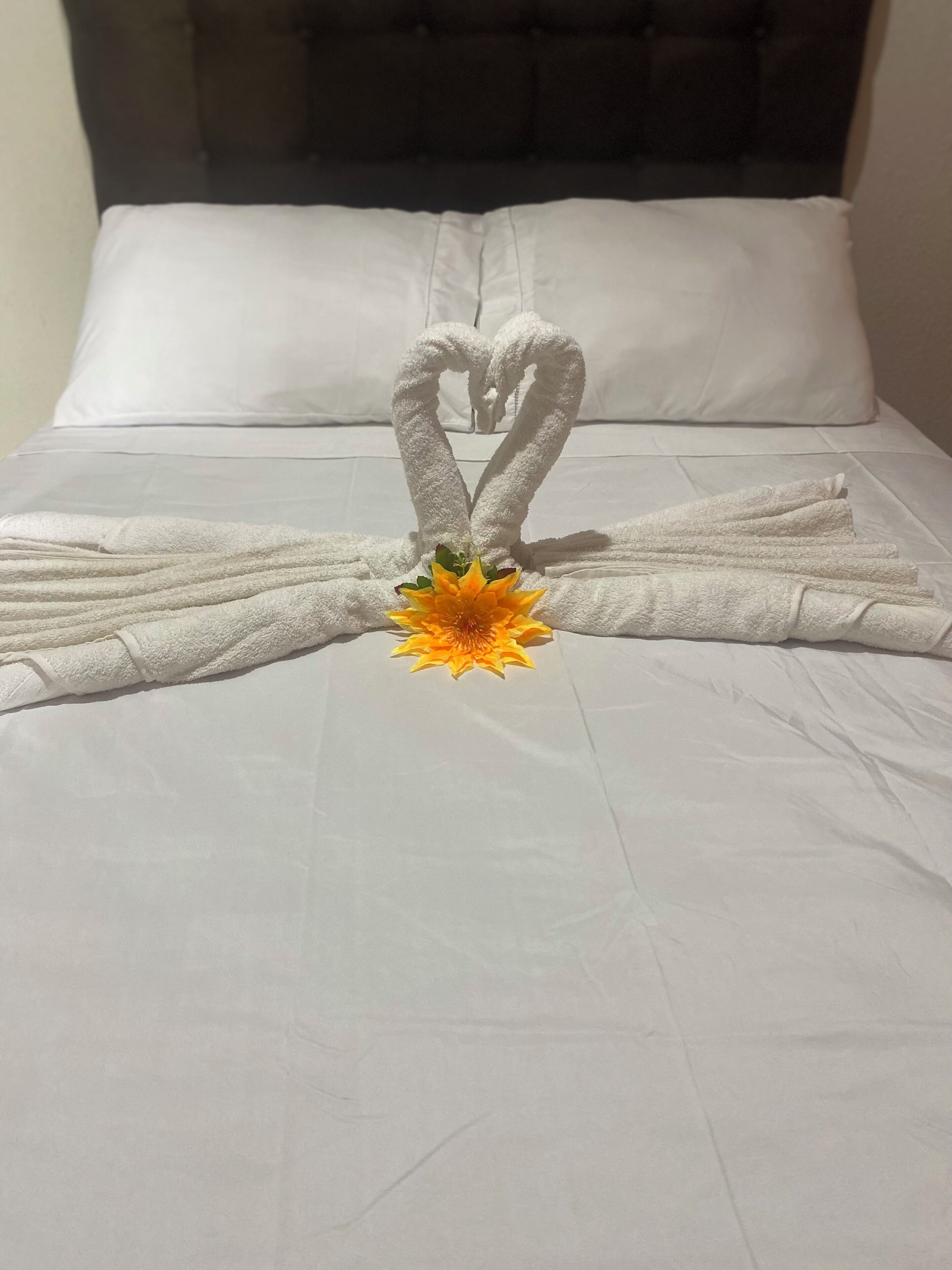 Individually decorated, free WiFi, bed sheets