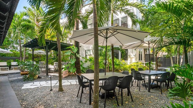 Un espace extérieur aménagé avec des tables et des chaises sous des parasols, entouré de palmiers et de verdure.