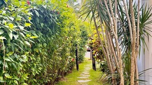 A stone pathway flanked by lush greenery and palm trees, leading to a building.