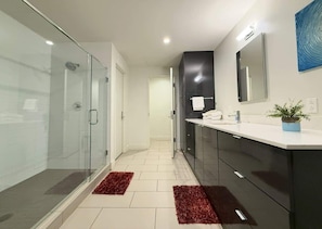Shower, hair dryer