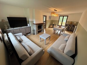 Smart TV, fireplace, books