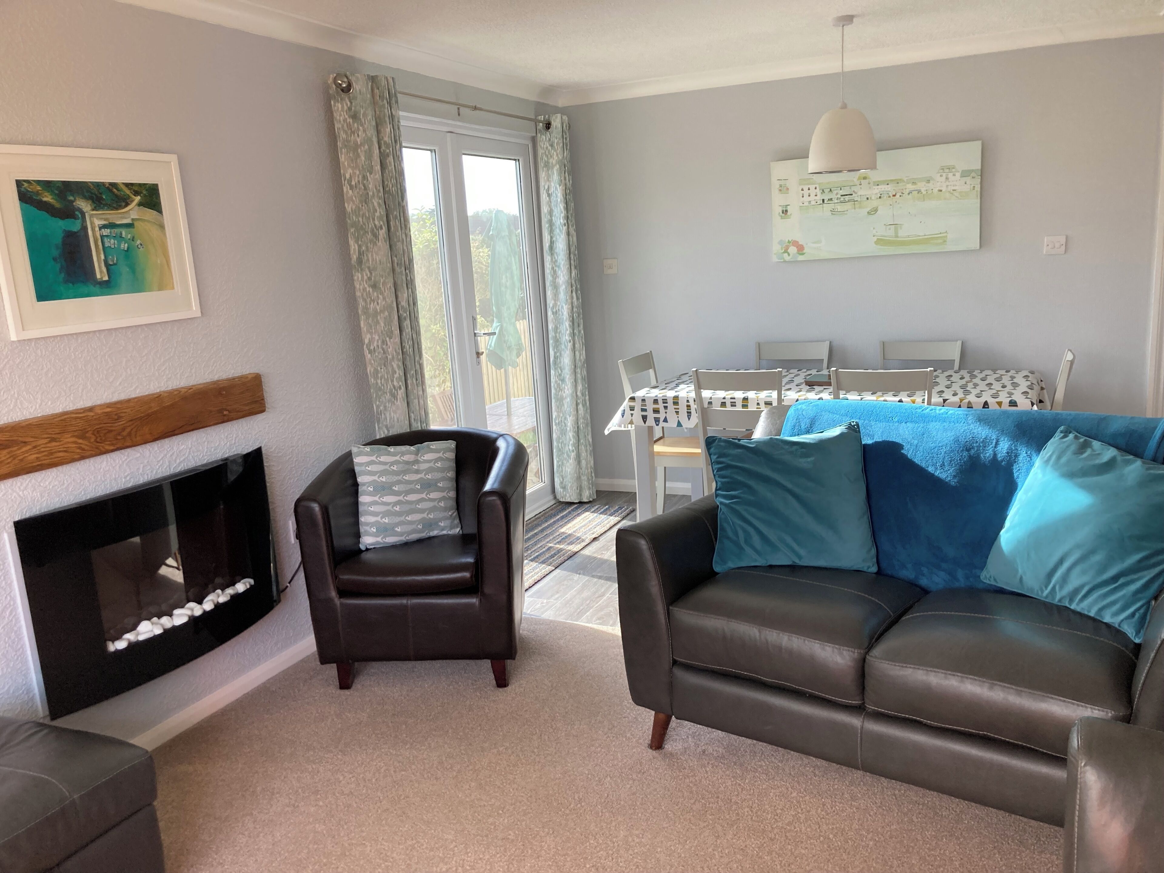 Smart TV, chimenea, reproductor de DVD y libros 