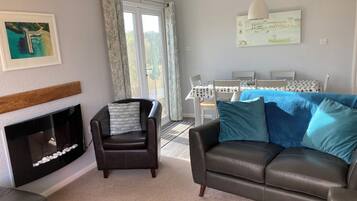 Smart TV, chimenea, reproductor de DVD, libros